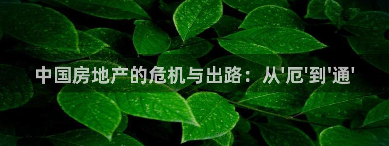 和记门店官网：中国房地产的危机与出路：从\'厄\'到\'通\