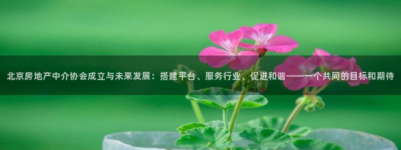 和记怡情官网：北京房地产中介协会成立与未来发展：搭建平台、服