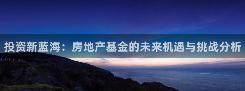 和记电讯香港官网：投资新蓝海：房地产基金的未来机遇与挑战分析