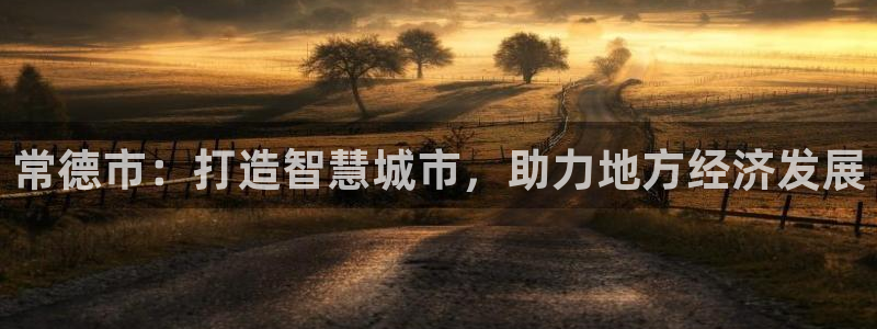 和记官网手机版：常德市：打造智慧城市，助力地方经济发展