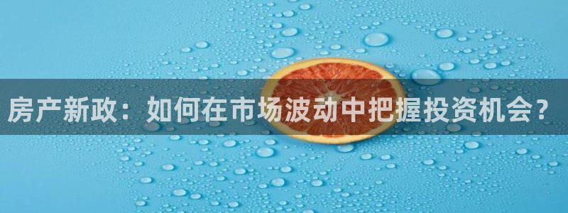 和记 官网：房产新政：如何在市场波动中把握投资机会？