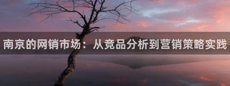 和帆记官网：南京的网销市场：从竞品分析到营销策略实践