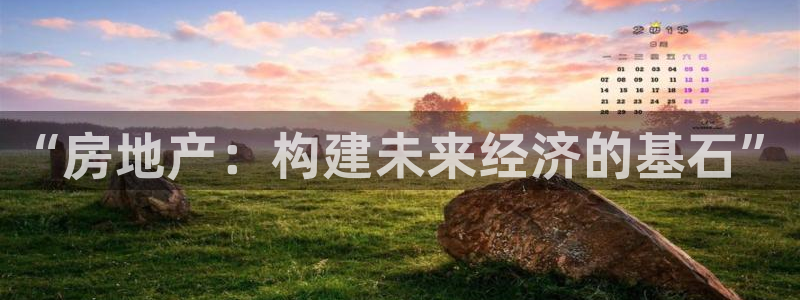 和记电游官网：“房地产：构建未来经济的基石”