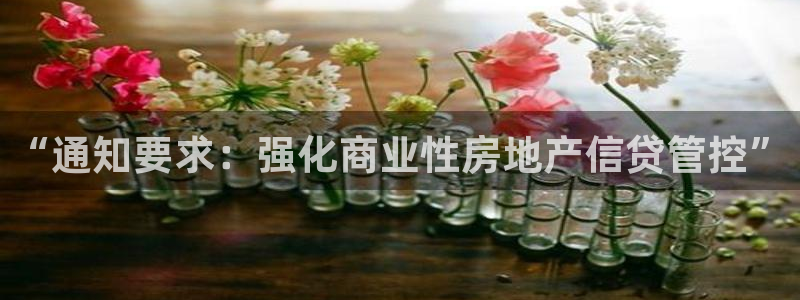 和兴记官网