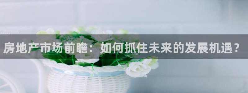 和记官网手机版：房地产市场前瞻：如何抓住未来的发展机遇？