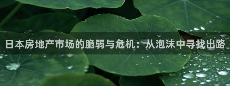 和记国际电讯官网：日本房地产市场的脆弱与危机：从泡沫中寻找出