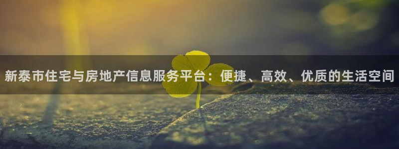 和记网开户官网：新泰市住宅与房地产信息服务平台：便捷、高效、