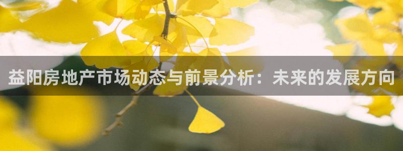 和记娱乐怡情博娱官网：益阳房地产市场动态与前景分析：未来的发