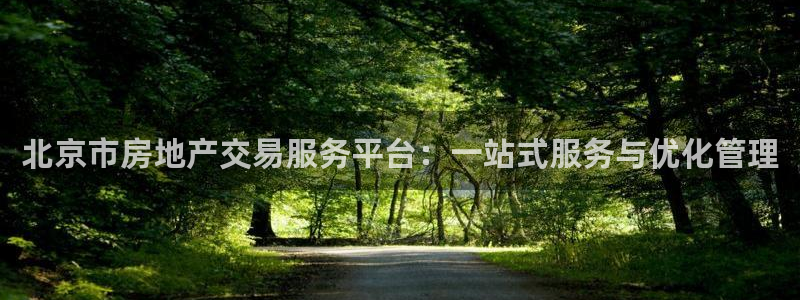 和记一品官网：北京市房地产交易服务平台：一站式服务与优化管理