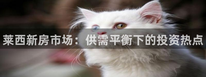 和记备用官网