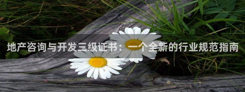 和记开户官网：地产咨询与开发三级证书：一个全新的行业规范指南