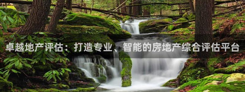 武汉和记黄埔官网：卓越地产评估：打造专业、智能的房地产综合评