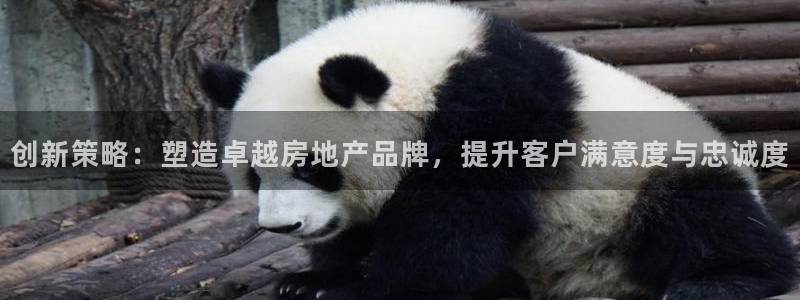 和记娱乐首页官网：创新策略：塑造卓越房地产品牌，提升客户满意