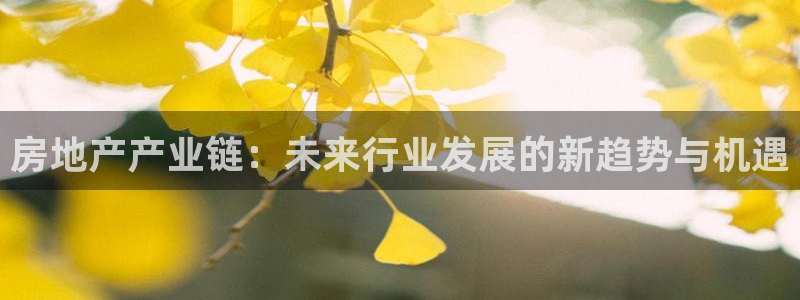 毛记和意冒菜官网加盟：房地产产业链：未来行业发展的新趋势与机