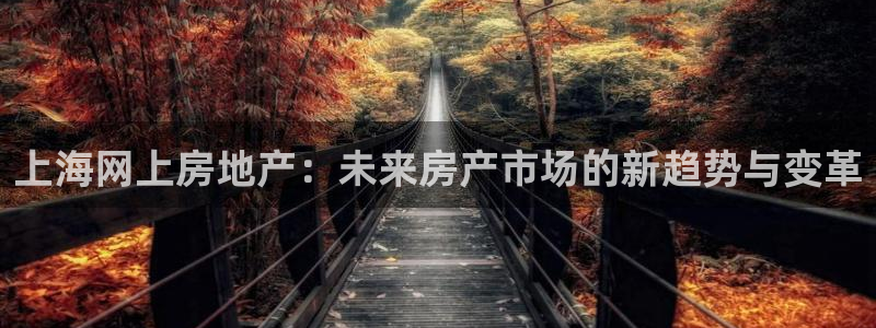 和记3卡官网是哪：上海网上房地产：未来房产市场的新趋势与变革