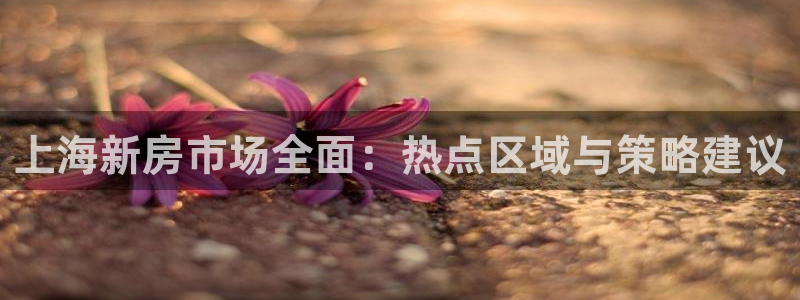 长江和记有限公司 官网：上海新房市场全面：热点区域与策略建议