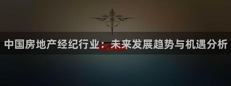 3和记官网：中国房地产经纪行业：未来发展趋势与机遇分析