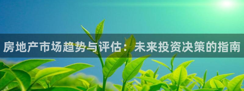 和记国际官网：房地产市场趋势与评估：未来投资决策的指南