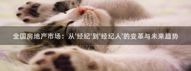 香港和记3台官网：全国房地产市场：从\'经纪\'到\'经纪人