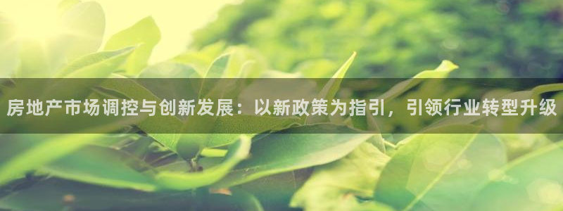 和记官网怡情娱乐：房地产市场调控与创新发展：以新政策为指引，