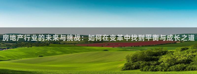 和记官网平台入口：房地产行业的未来与挑战：如何在变革中找到平