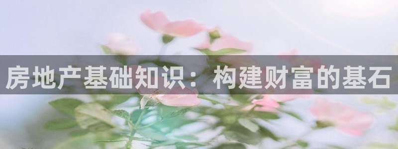 和记日化官网：房地产基础知识：构建财富的基石