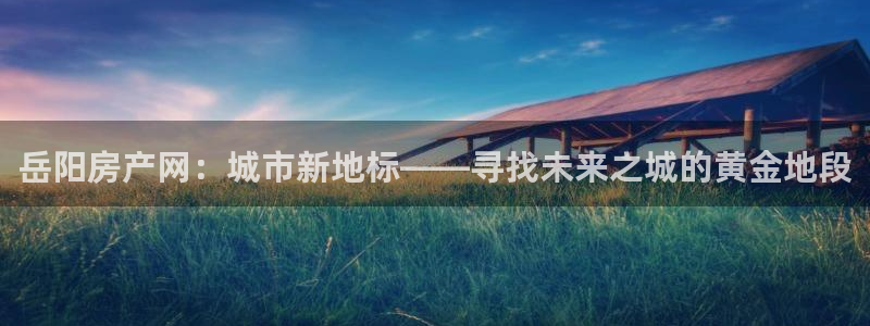上海和记官网：岳阳房产网：城市新地标——寻找未来之城的黄金地