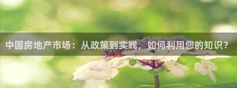 和记黄埔上海官网：中国房地产市场：从政策到实践，如何利用您的
