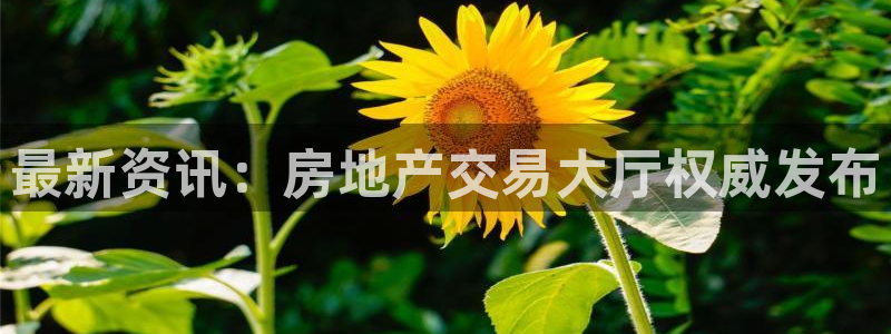 和记安徽快3官网开户：最新资讯：房地产交易大厅权威发布