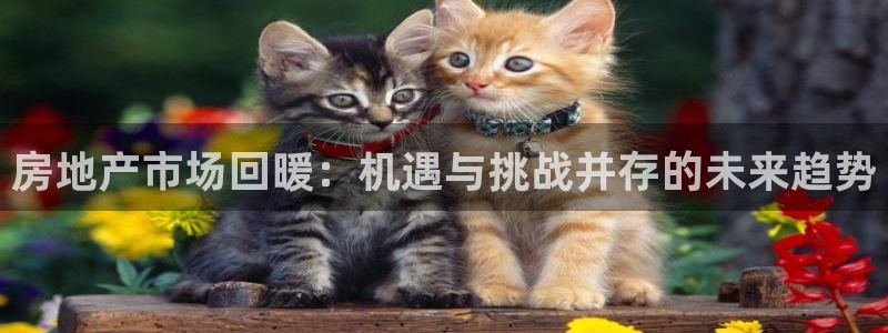 和记手机版官网：房地产市场回暖：机遇与挑战并存的未来趋势