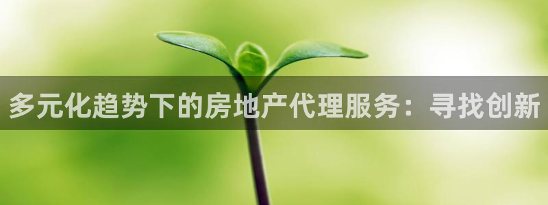 和木记官网：多元化趋势下的房地产代理服务：寻找创新