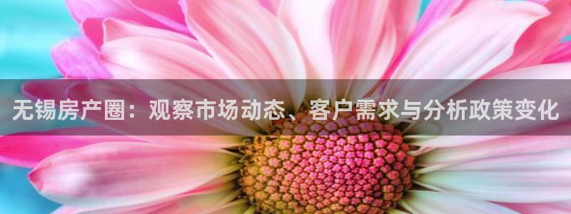 和记手游官网：无锡房产圈：观察市场动态、客户需求与分析政策变