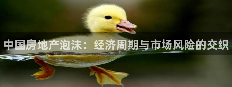 和记官网登录：中国房地产泡沫：经济周期与市场风险的交织