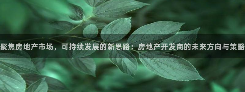 和记3电讯官网：聚焦房地产市场，可持续发展的新思路：房地产开