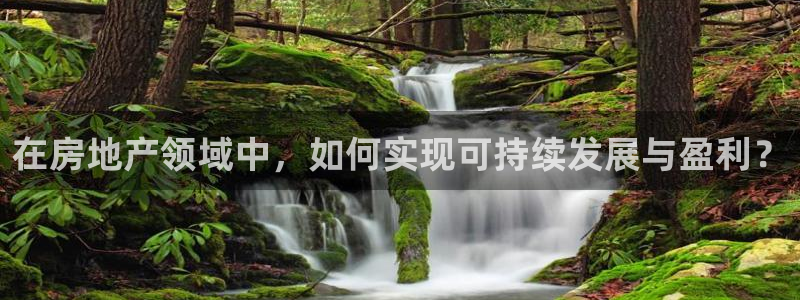 郑州和记酒业官网：在房地产领域中，如何实现可持续发展与盈利？