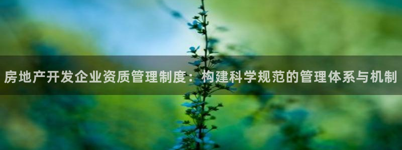 和记港口信托官网：房地产开发企业资质管理制度：构建科学规范的