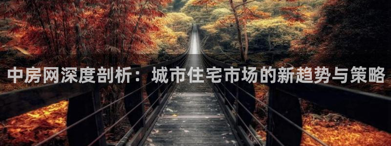 和记官网官网入口：中房网深度剖析：城市住宅市场的新趋势与策略