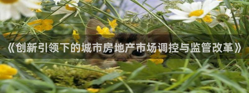 和记娱真好h88285官网：《创新引领下的城市房地产市场调控