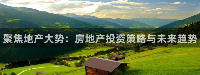 和记大合城dk2官网：聚焦地产大势：房地产投资策略与未来趋势