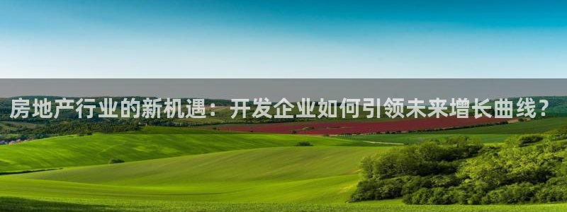 和记h188怡情官网：房地产行业的新机遇：开发企业如何引领未