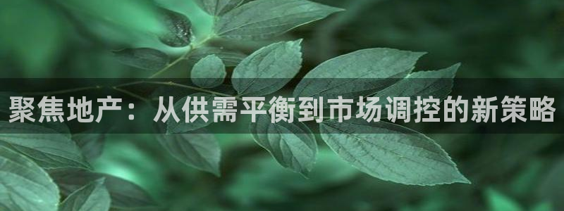 上海和记官网：聚焦地产：从供需平衡到市场调控的新策略