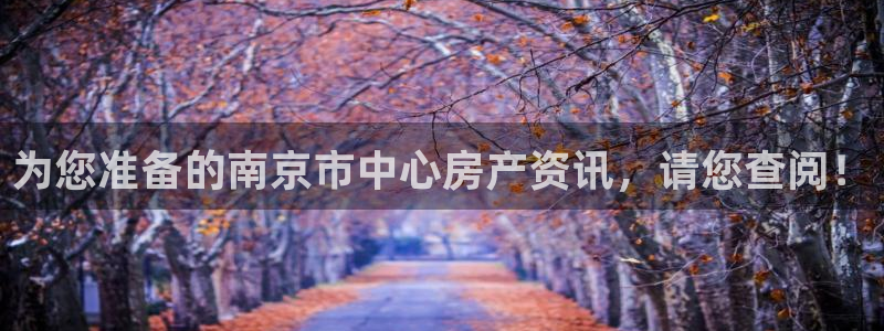 和记娱解答h88285官网：为您准备的南京市中心房产资讯，请