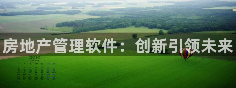 和记混凝土官网：房地产管理软件：创新引领未来