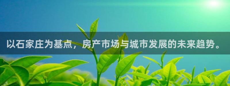 和记h88game官网：以石家庄为基点，房产市场与城市发展的