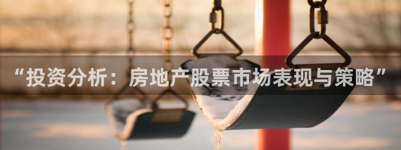 香港和记集团官网：“投资分析：房地产股票市场表现与策略”