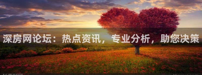 和记电讯app官网：深房网论坛：热点资讯，专业分析，助您决策