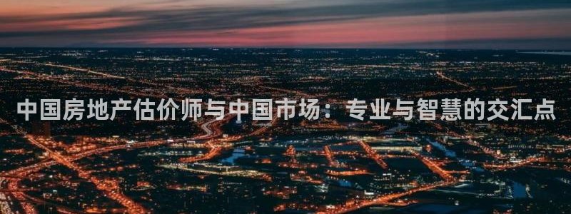 和记怡情官网：中国房地产估价师与中国市场：专业与智慧的交汇点