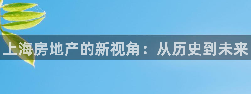 3g和记官网：上海房地产的新视角：从历史到未来
