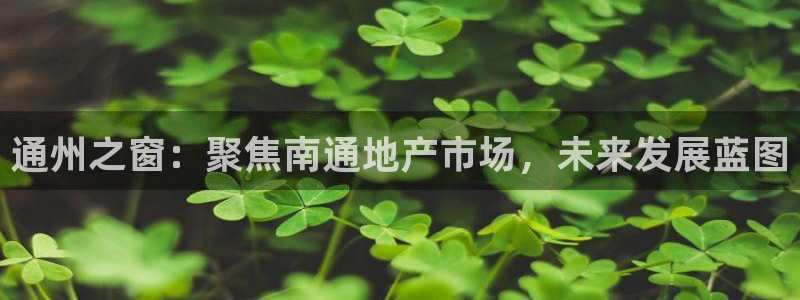 和记国际官网：通州之窗：聚焦南通地产市场，未来发展蓝图