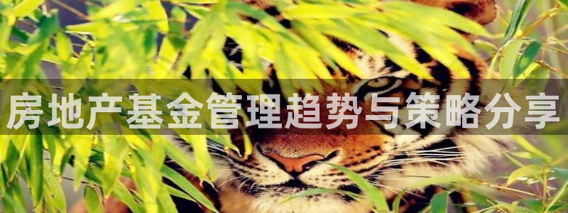 和记3hk官网：房地产基金管理趋势与策略分享